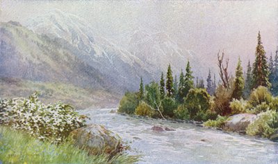 Early Morning near Pahlgam, Lidar Valley by Unbekannt Unbekannt